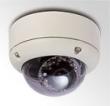 CAM-IVP55V-NT